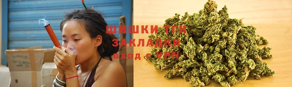 индика Абинск