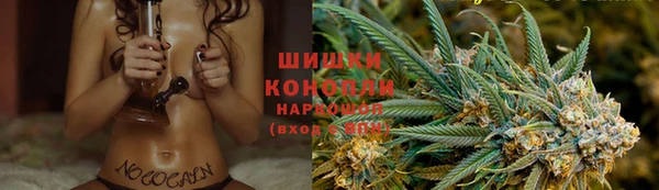 бошки Абаза