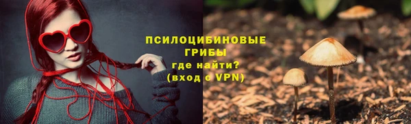 индика Абинск