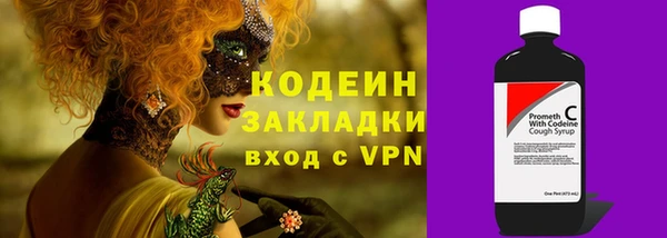 индика Абинск