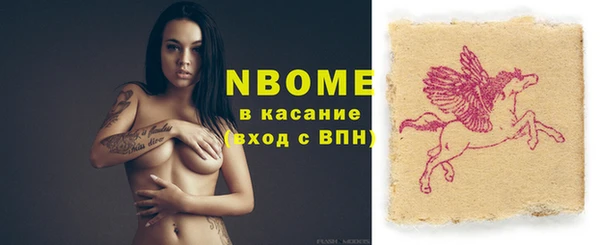 индика Абинск