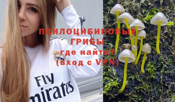 дурь Абдулино
